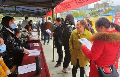 春風(fēng)如貴客 道真縣送崗上門(mén)三千，信息技術(shù)咨詢(xún)暖民心